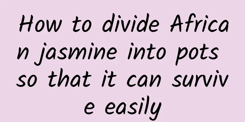 How to divide African jasmine into pots so that it can survive easily