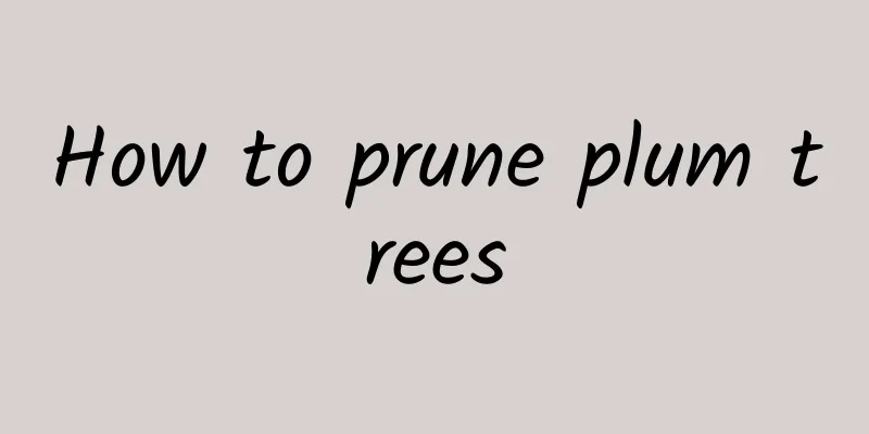 How to prune plum trees