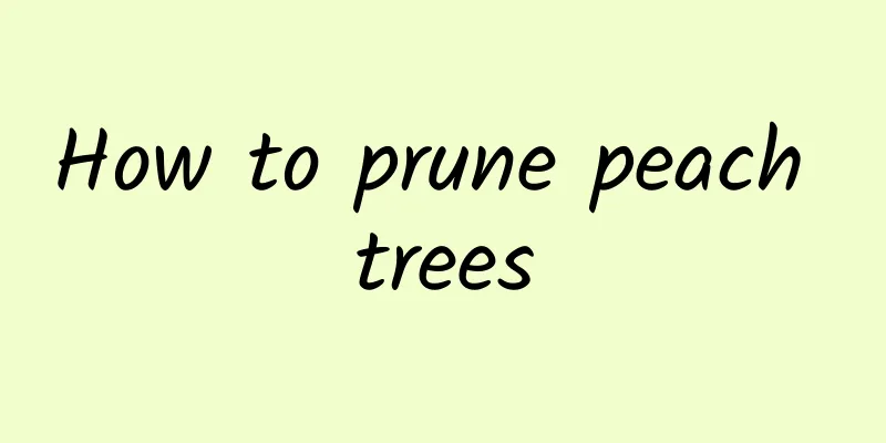How to prune peach trees