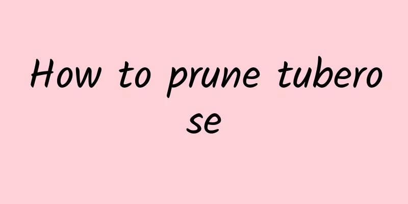 How to prune tuberose