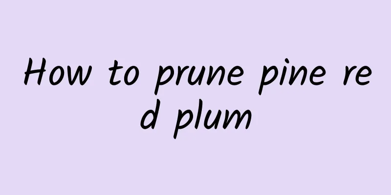 How to prune pine red plum