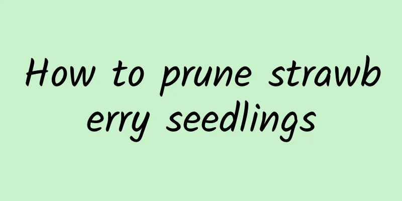 How to prune strawberry seedlings