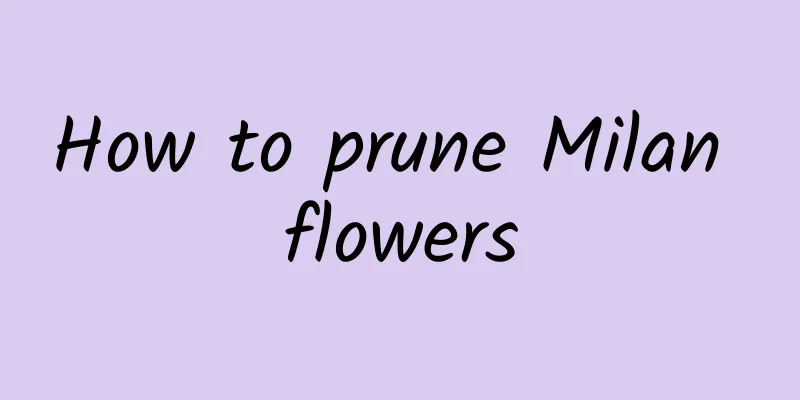 How to prune Milan flowers
