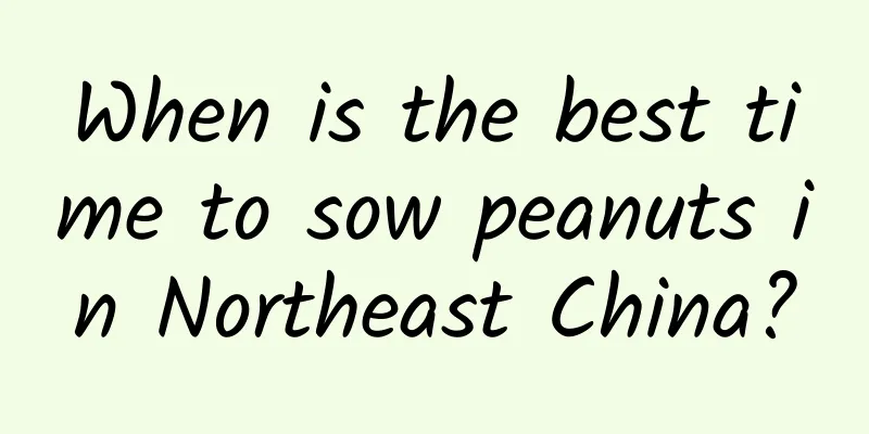 When is the best time to sow peanuts in Northeast China?