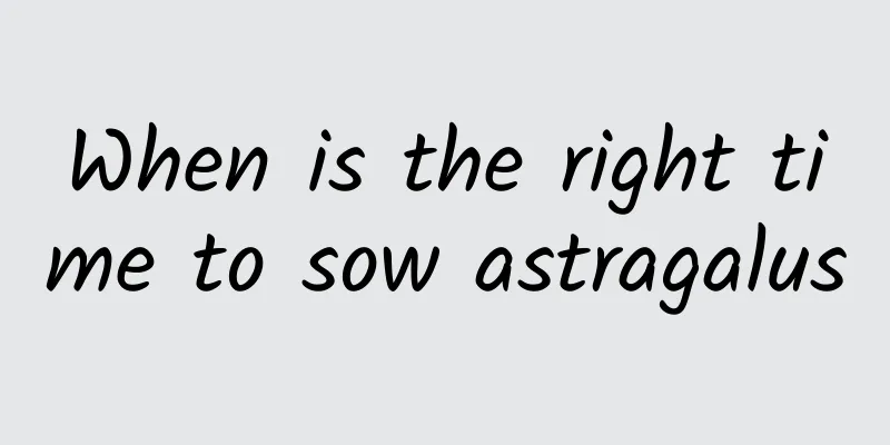 When is the right time to sow astragalus