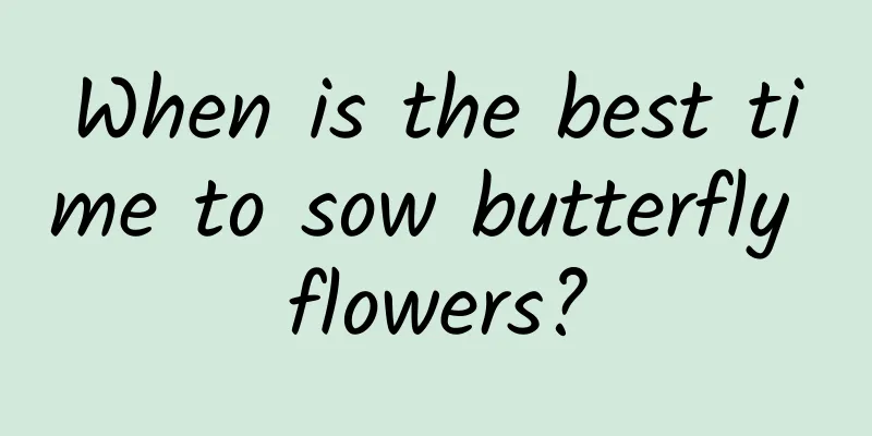 When is the best time to sow butterfly flowers?