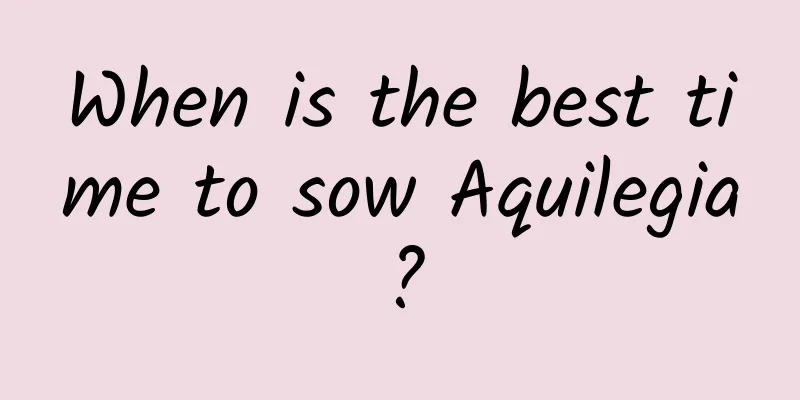 When is the best time to sow Aquilegia?