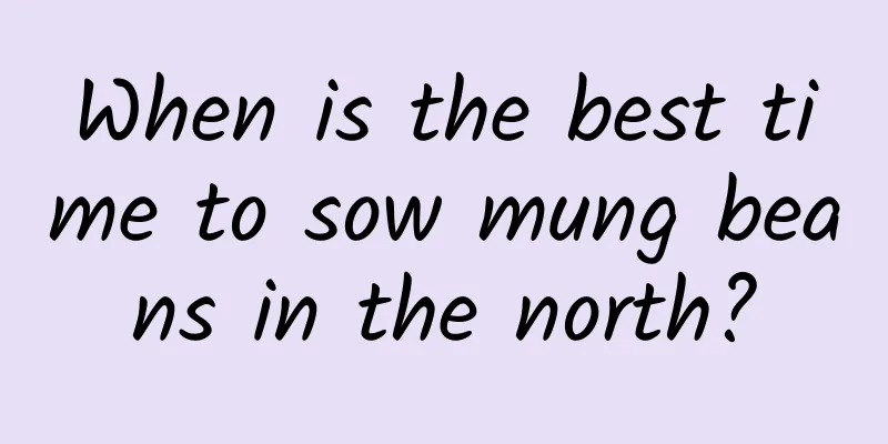 When is the best time to sow mung beans in the north?