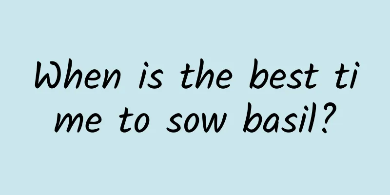 When is the best time to sow basil?