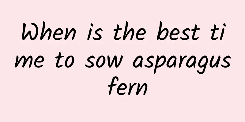 When is the best time to sow asparagus fern