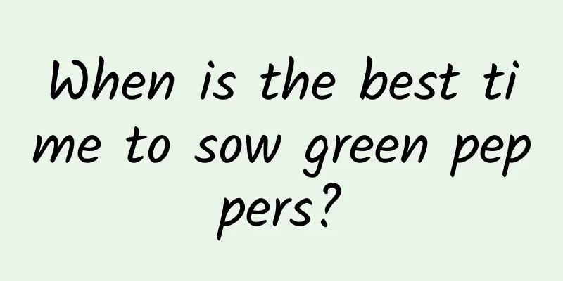 When is the best time to sow green peppers?