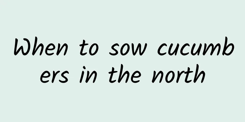 When to sow cucumbers in the north