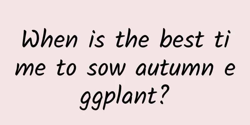 When is the best time to sow autumn eggplant?