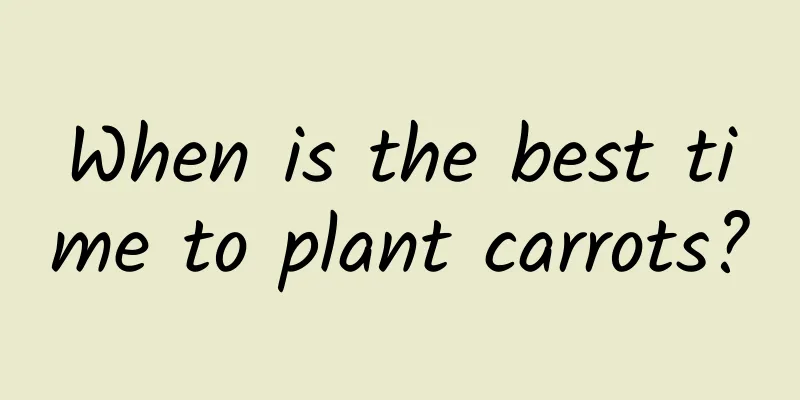 When is the best time to plant carrots?