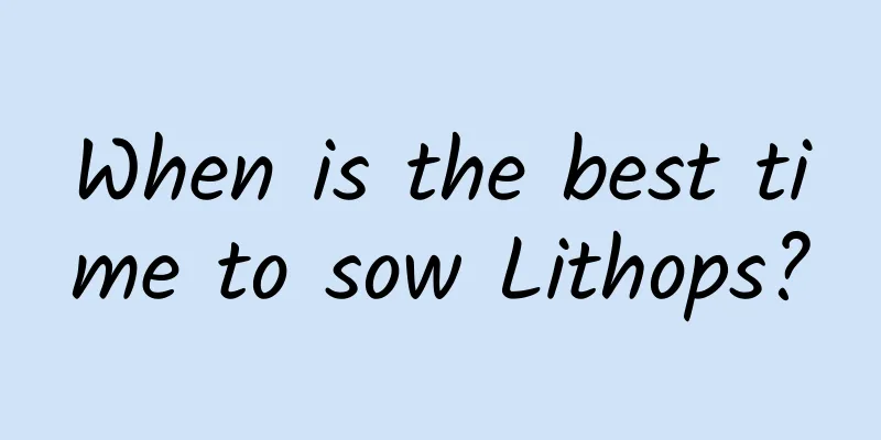 When is the best time to sow Lithops?