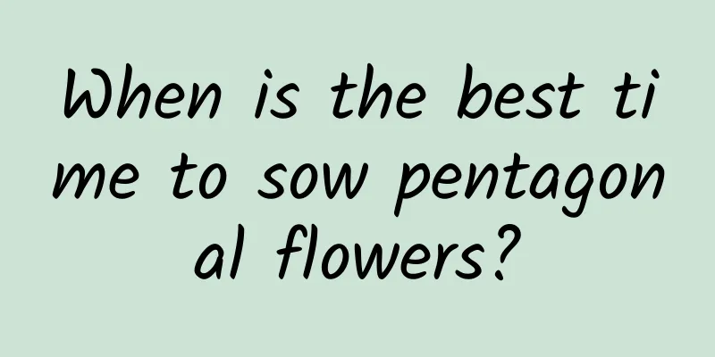 When is the best time to sow pentagonal flowers?