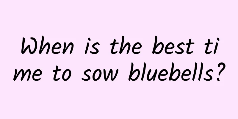 When is the best time to sow bluebells?