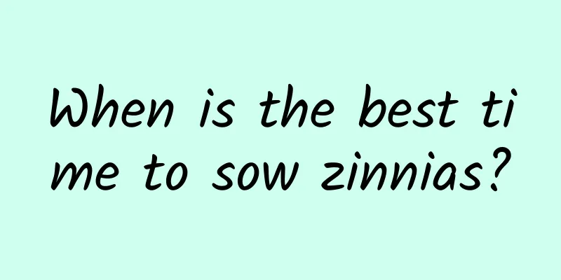 When is the best time to sow zinnias?