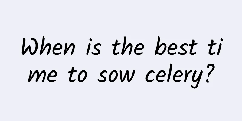 When is the best time to sow celery?