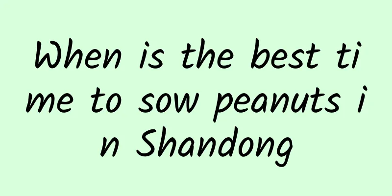 When is the best time to sow peanuts in Shandong