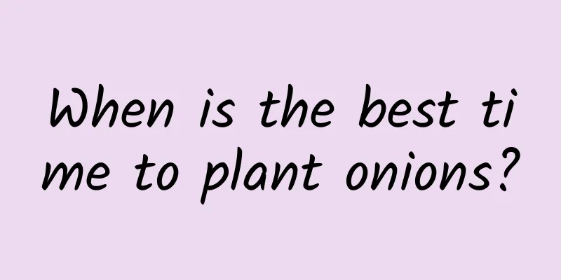 When is the best time to plant onions?