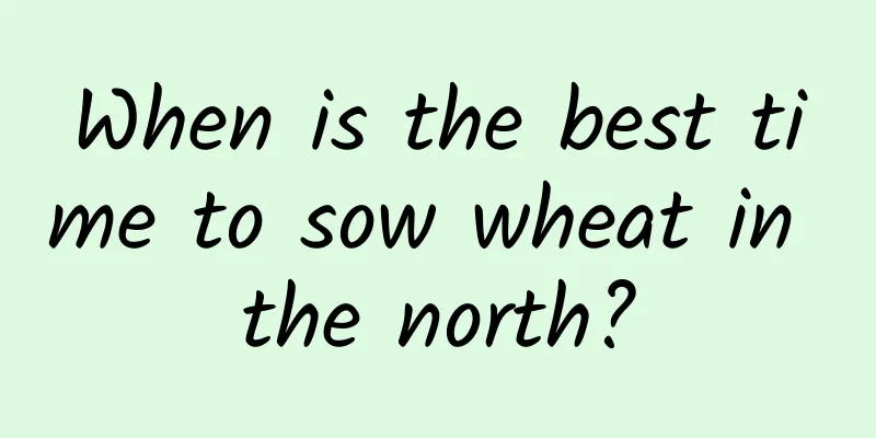 When is the best time to sow wheat in the north?