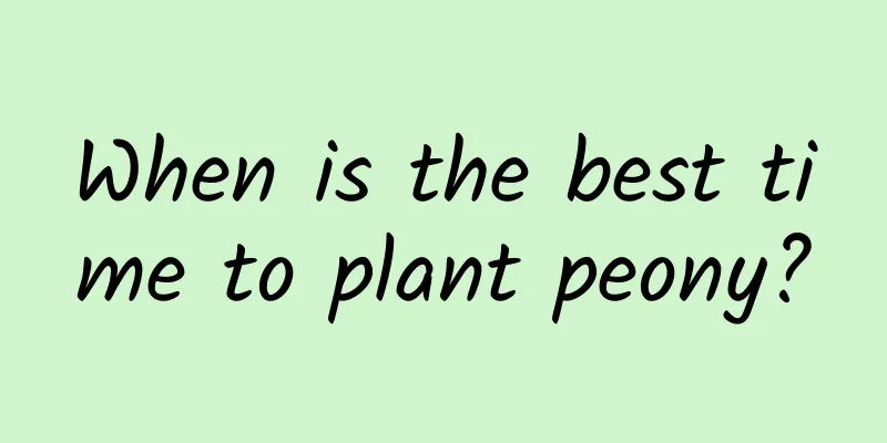 When is the best time to plant peony?