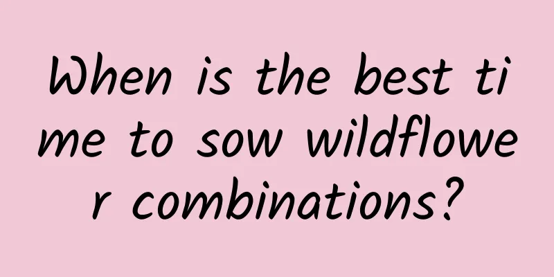 When is the best time to sow wildflower combinations?