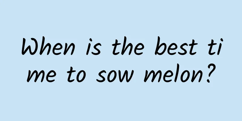 When is the best time to sow melon?