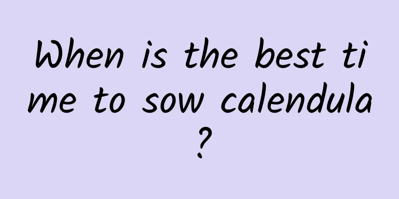 When is the best time to sow calendula?