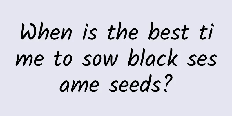 When is the best time to sow black sesame seeds?