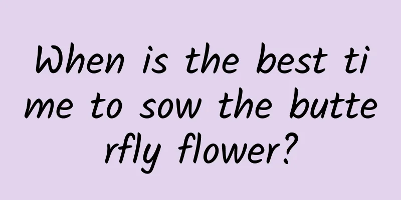 When is the best time to sow the butterfly flower?