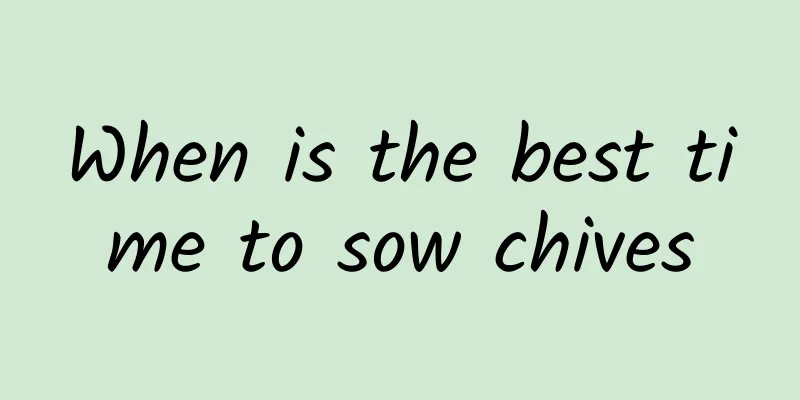 When is the best time to sow chives