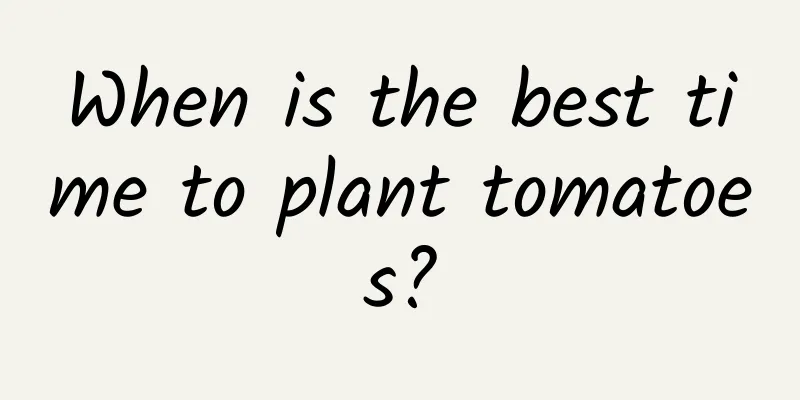When is the best time to plant tomatoes?