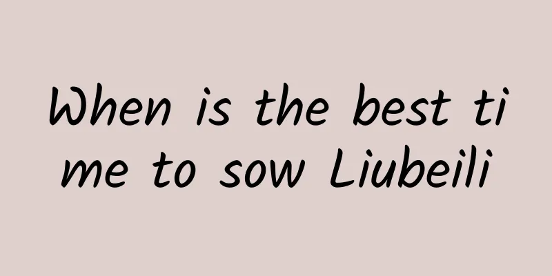 When is the best time to sow Liubeili