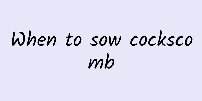 When to sow cockscomb