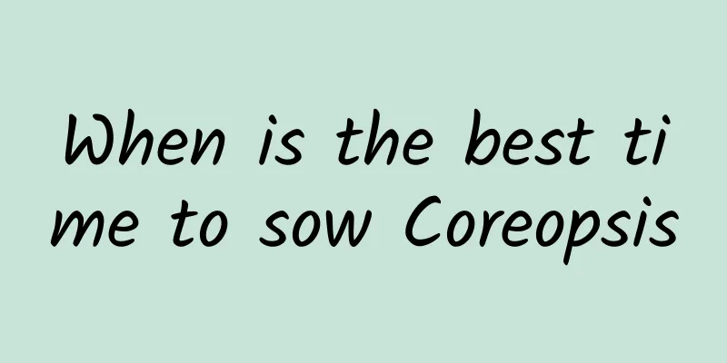 When is the best time to sow Coreopsis