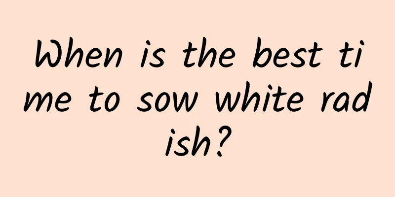 When is the best time to sow white radish?