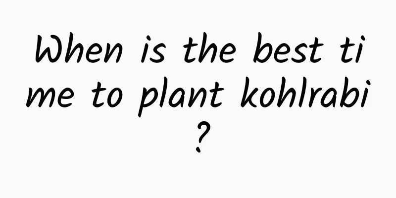 When is the best time to plant kohlrabi?