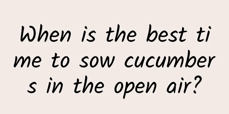 When is the best time to sow cucumbers in the open air?