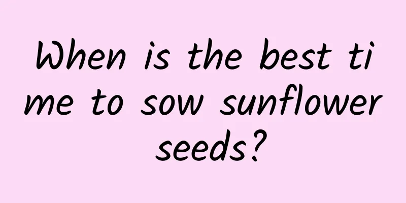 When is the best time to sow sunflower seeds?