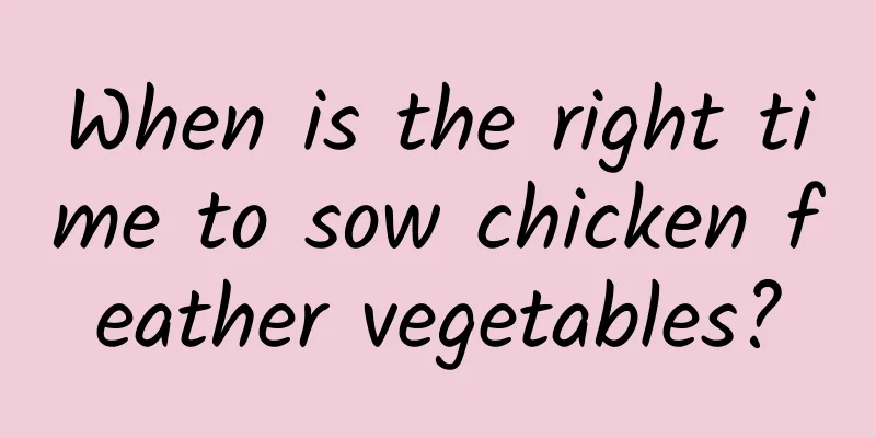 When is the right time to sow chicken feather vegetables?