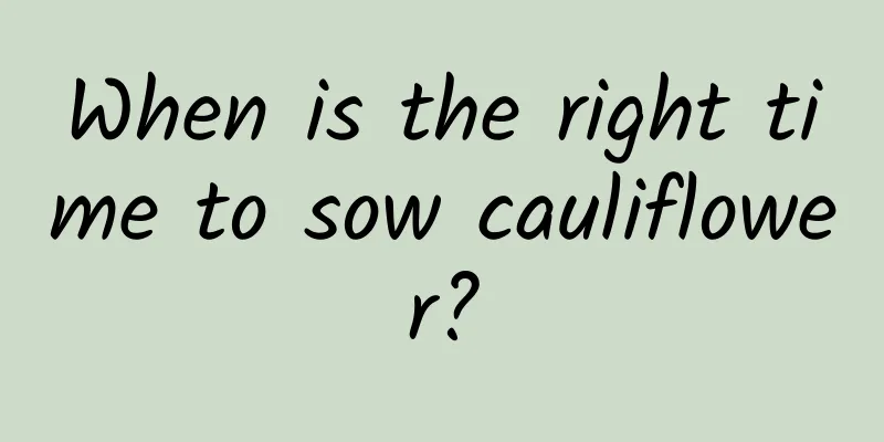 When is the right time to sow cauliflower?