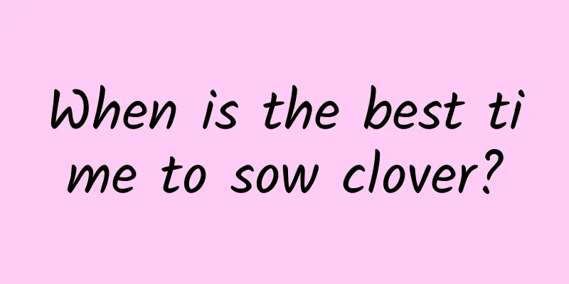 When is the best time to sow clover?