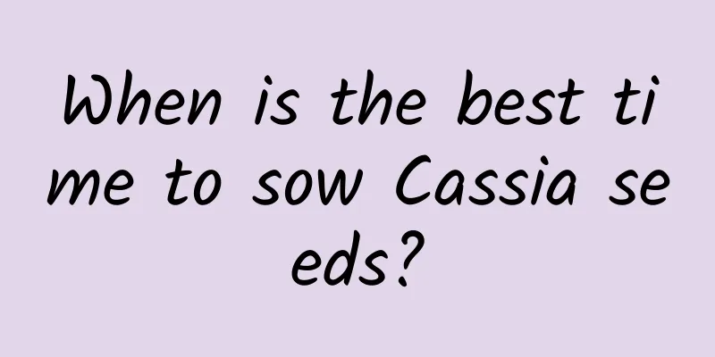 When is the best time to sow Cassia seeds?