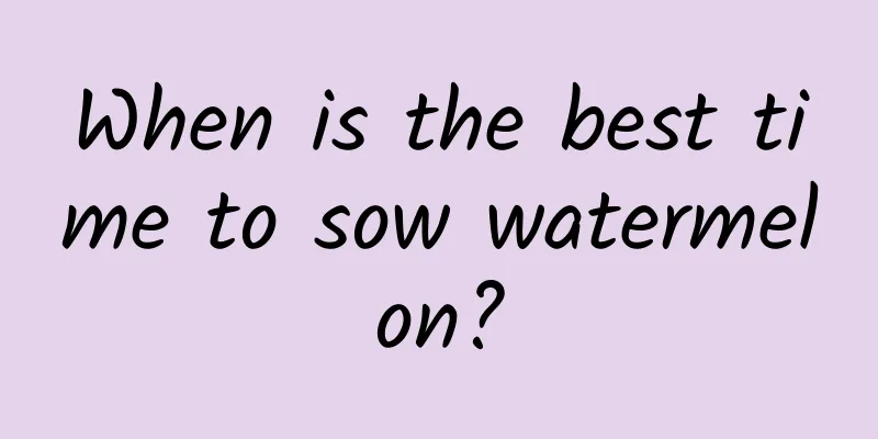 When is the best time to sow watermelon?