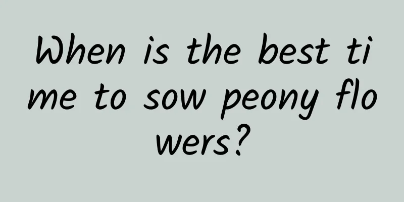 When is the best time to sow peony flowers?