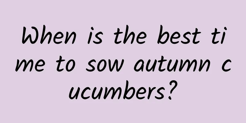 When is the best time to sow autumn cucumbers?