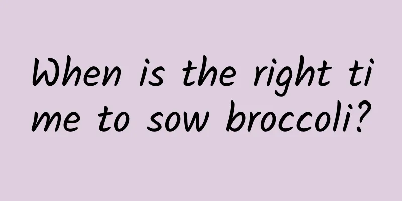 When is the right time to sow broccoli?
