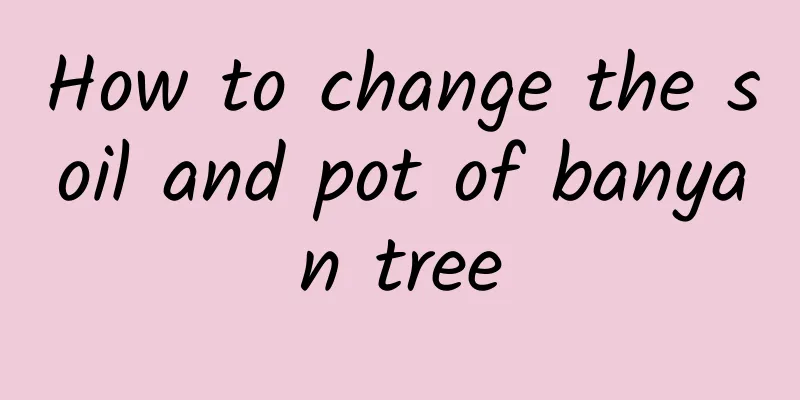 How to change the soil and pot of banyan tree